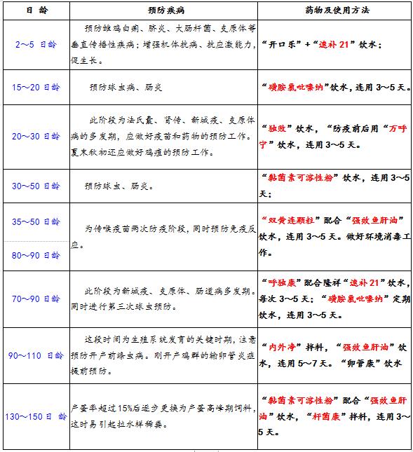 养鸡知识鸡拉稀用什么药最好,养鸡技术鸡拉白痢怎么办