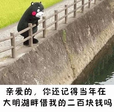 要欠债还钱的表情包,有了钱搞笑表情包