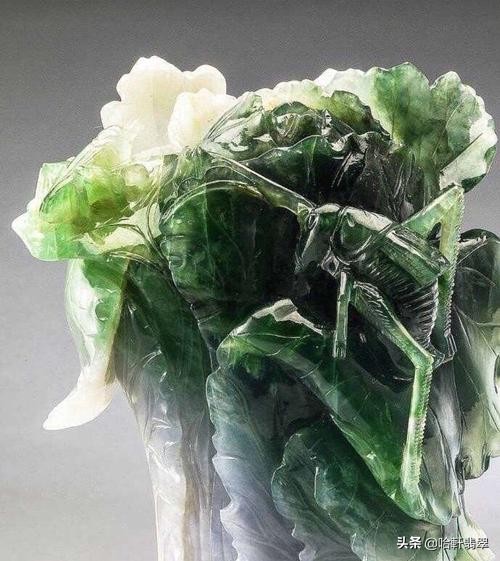 乾隆和白菜,乾隆白菜和太后白菜区别