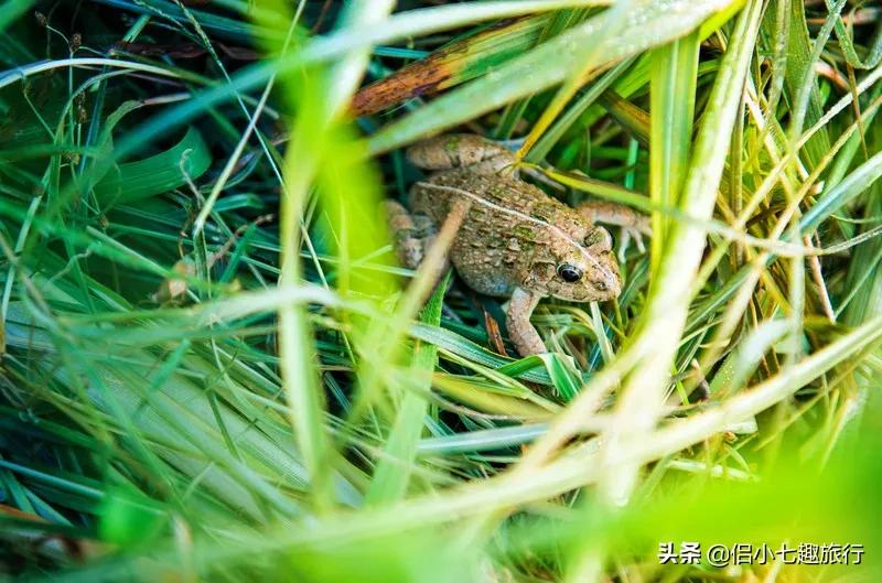 生态农场知多少,生态农业指的是哪些