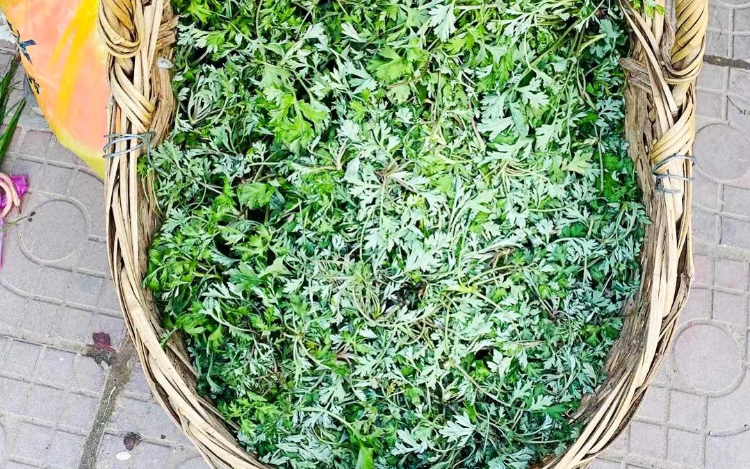 菜市小趣（社会扫描）