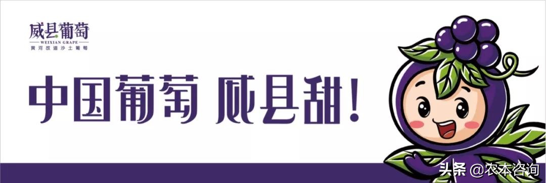 吸引人的农产品系列广告语,吸引人的干货农产品广告语