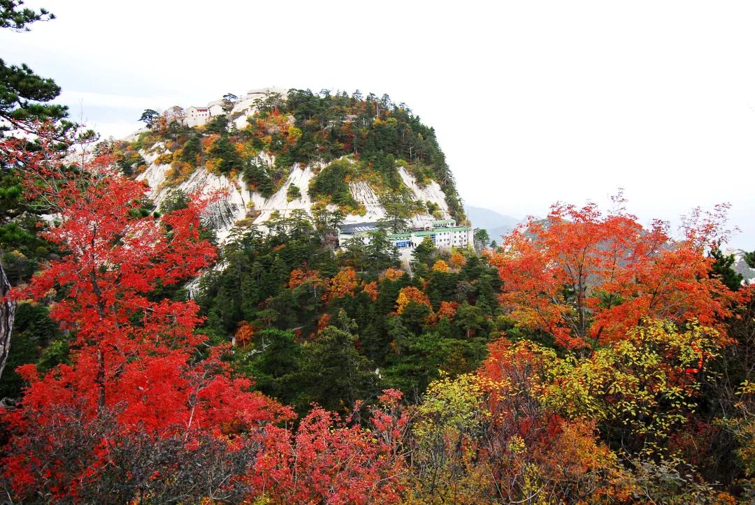 华山游览线路示意图,自由行华山一日游最佳路线