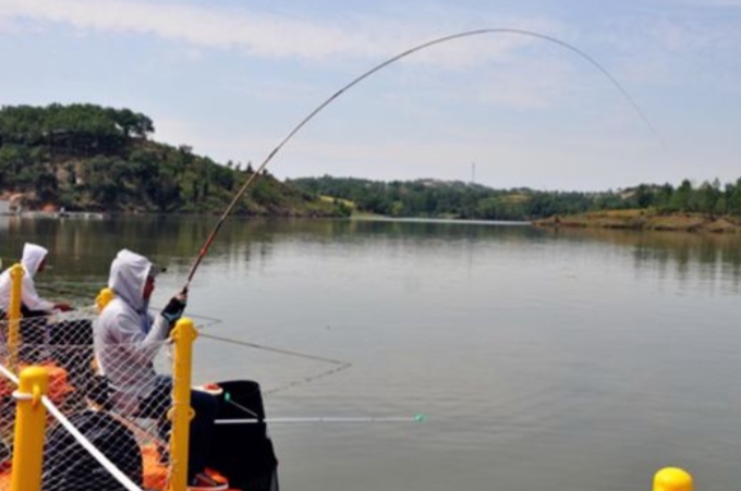 玉米一年四季都可以钓鱼吗,玉米为什么不能钓鱼