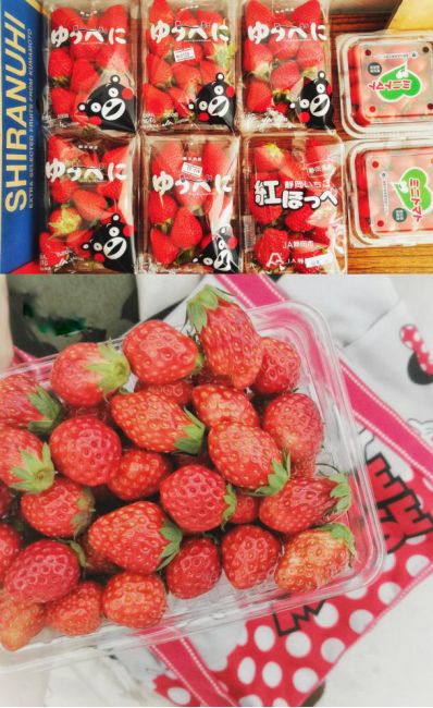 王思聪和李易峰关系有多好,王思聪和李易峰的区别