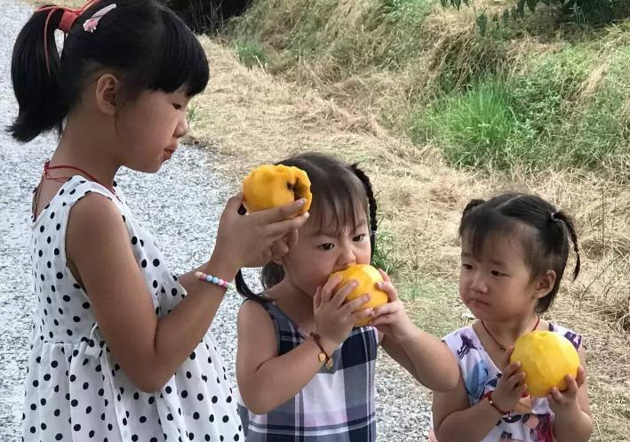 桃养人杏害人的原因,桃子养人杏伤人是真的吗