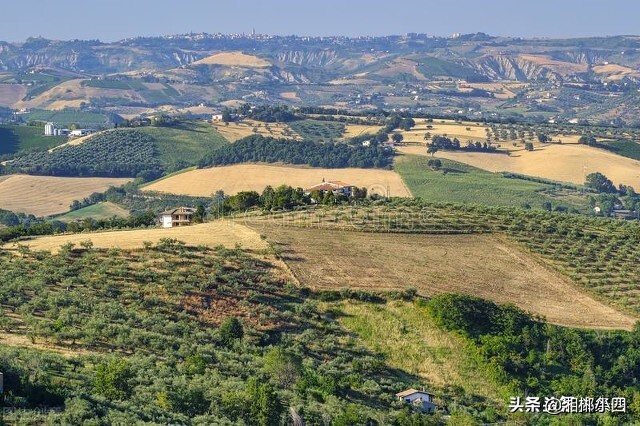 农村兄弟不和到死不来往怎么办,农村亲兄弟十几年不说话怎么办