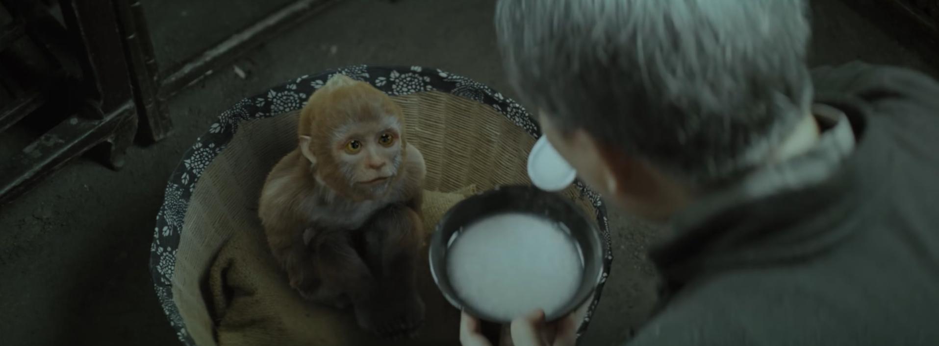 大兴安岭猎人传说在线观看完整版,大兴安岭猎人传说免费播放优酷