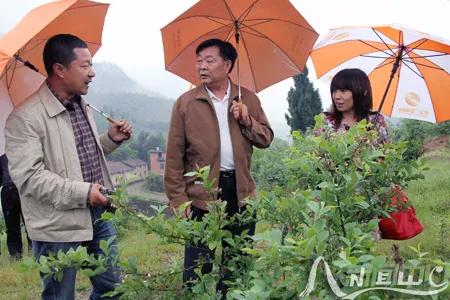 长跑18年,从此“大田”是故乡