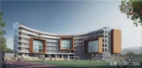 深圳罗湖区九大教育集团,深圳罗湖有哪些好的教育集团