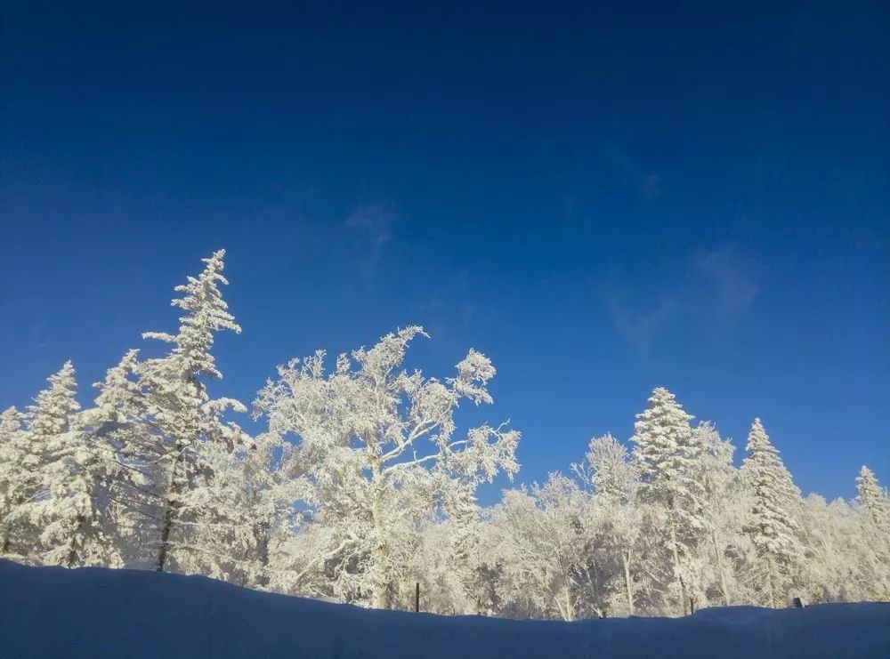 6月份徐州出发特价机票,徐州低价机票一览表