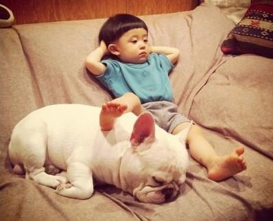 世界上一百种狗的图片,世界十种名贵狗