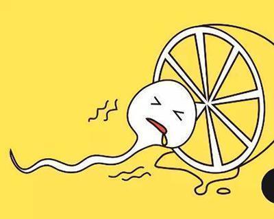 没受孕的小蝌蚪,未和卵细胞结合的精子去哪了