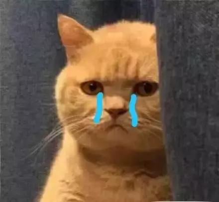 手机长期不关机和每天关机的区别,手机需不需要每天关机