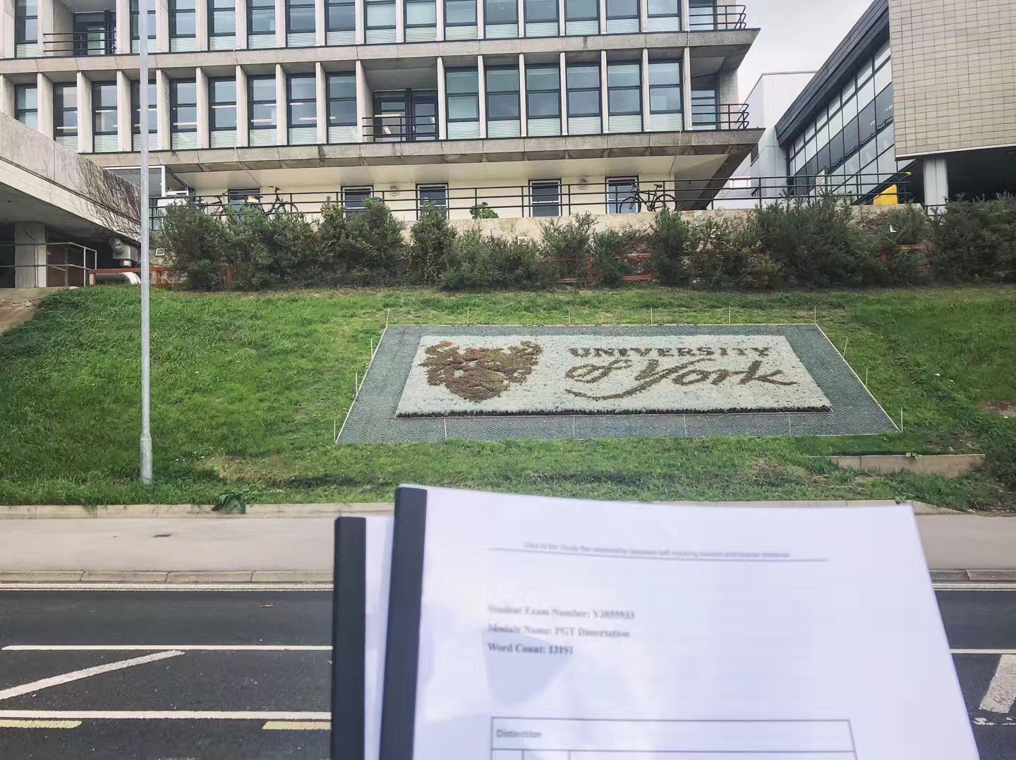 英国约克大学在国内被认可吗,英国约克大学什么专业比较好