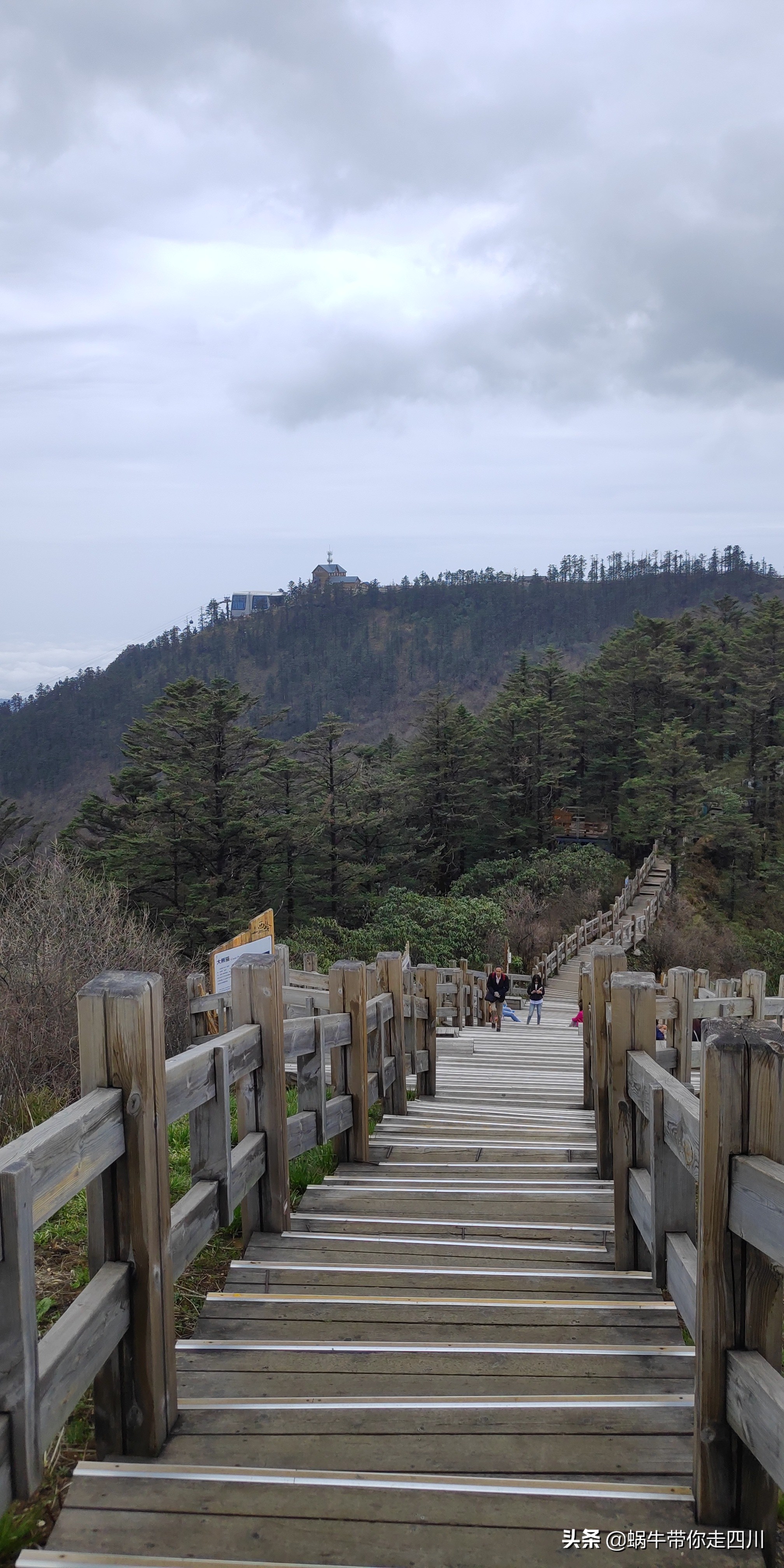 成都去西岭雪山两天一夜旅游团,成都出发雪山旅游