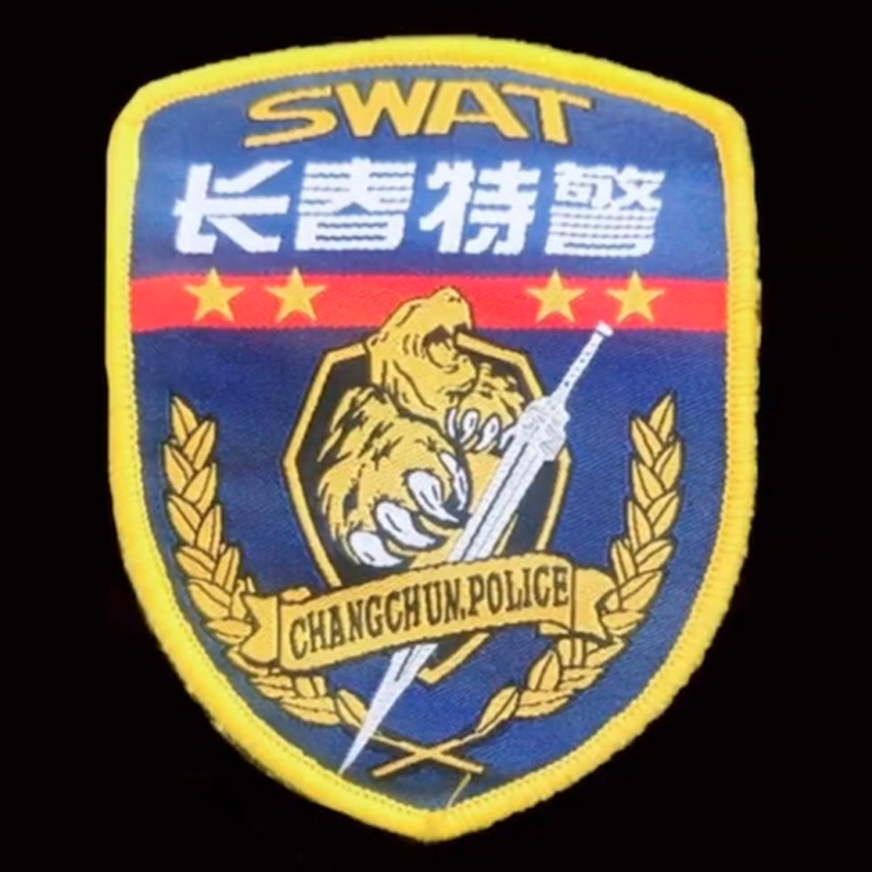 全国各个城市特警队臂章,公安特警帅图