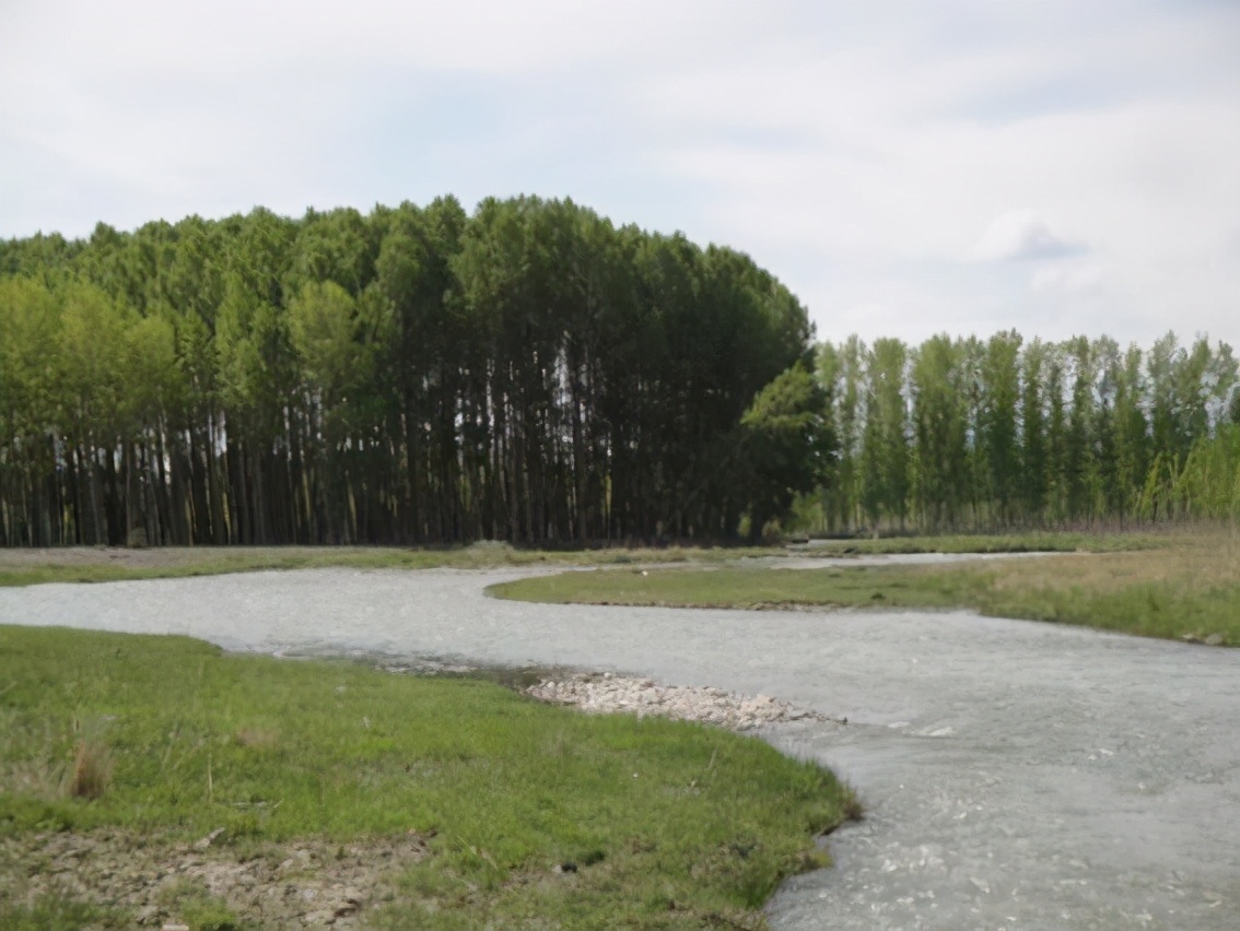 童年回忆蚂蝗,童年回忆挖蚯蚓作文