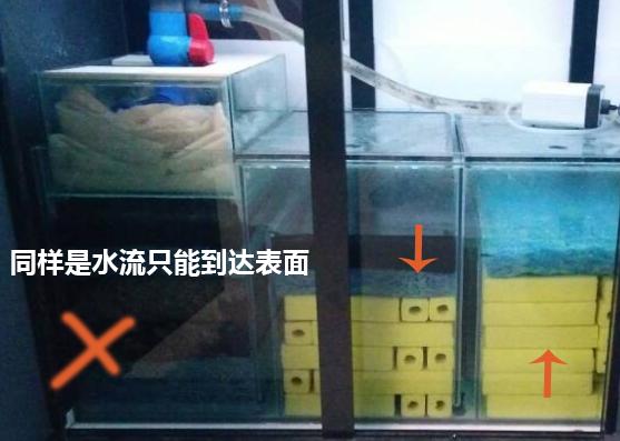 鱼缸过滤培菌效果最好的方式,鱼缸过滤培菌屋起什么作用