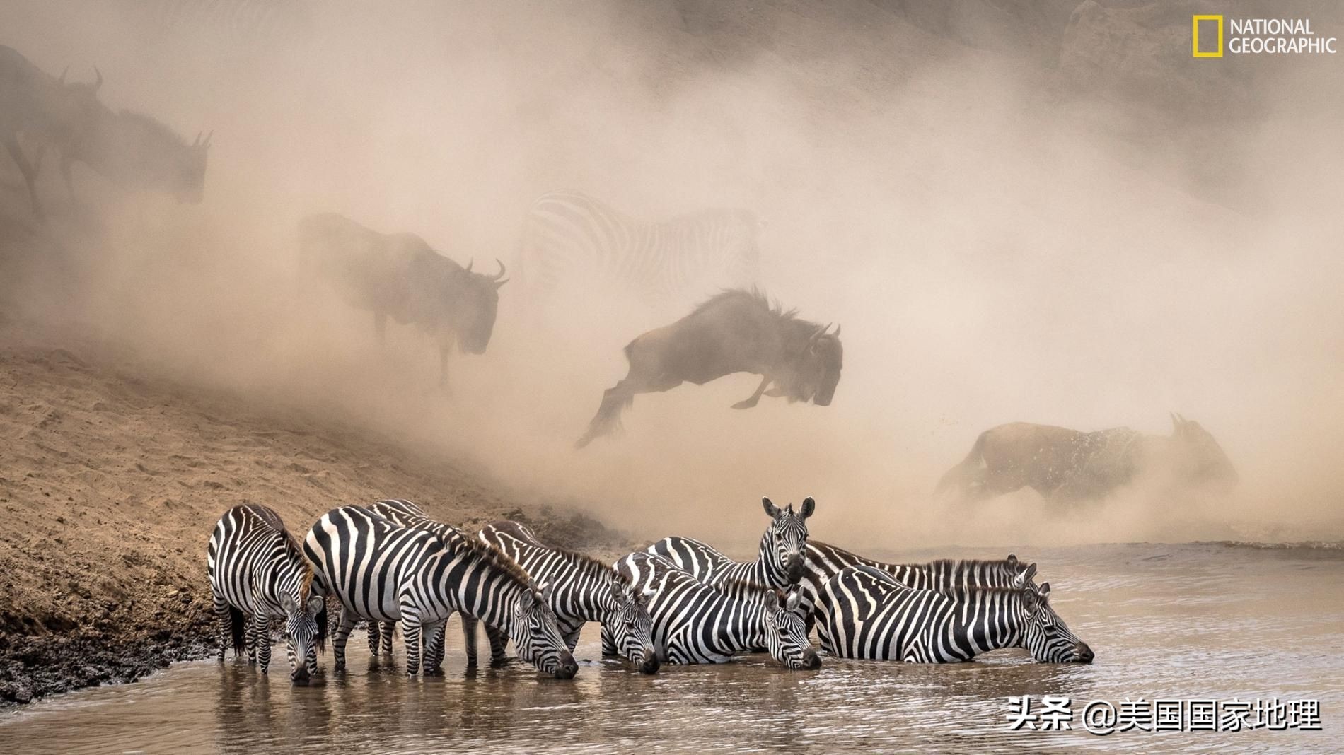 万中选一！大自然是怎样赋予照片灵魂的？
