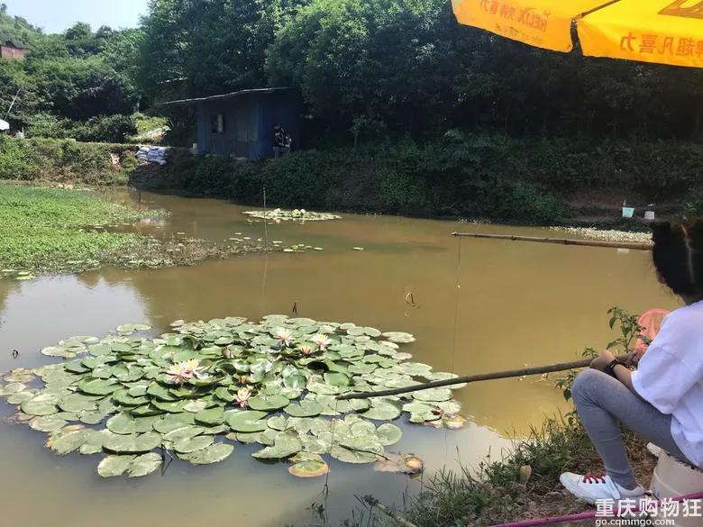 巴南鱼洞户外好耍的地方,巴南鱼洞周边一日游的绝佳去处