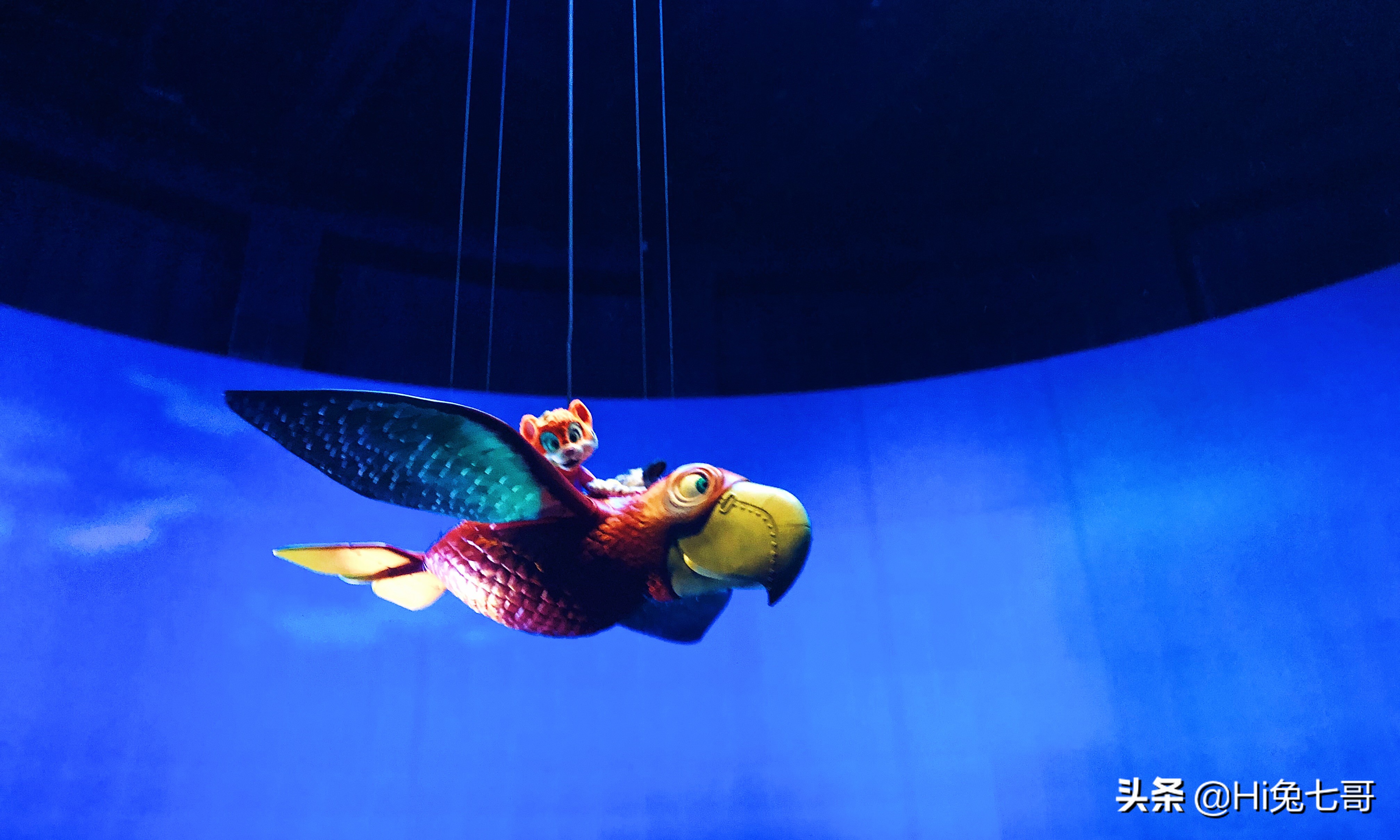 珠海长隆海洋王国吃住旅游攻略,最新珠海长隆海洋王国一日游攻略