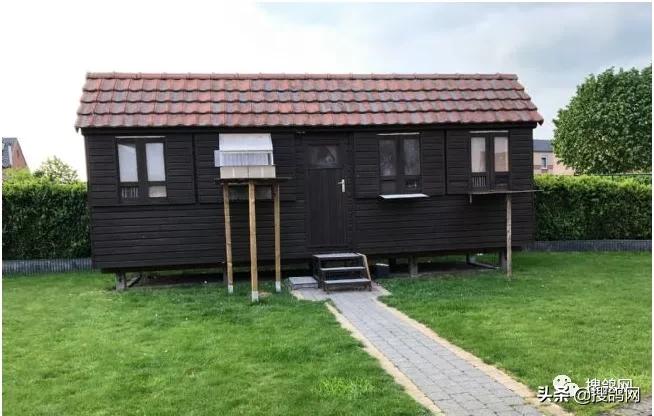 kbdb鸽王名单,比利时kbdb短距离鸽王有奖金吗