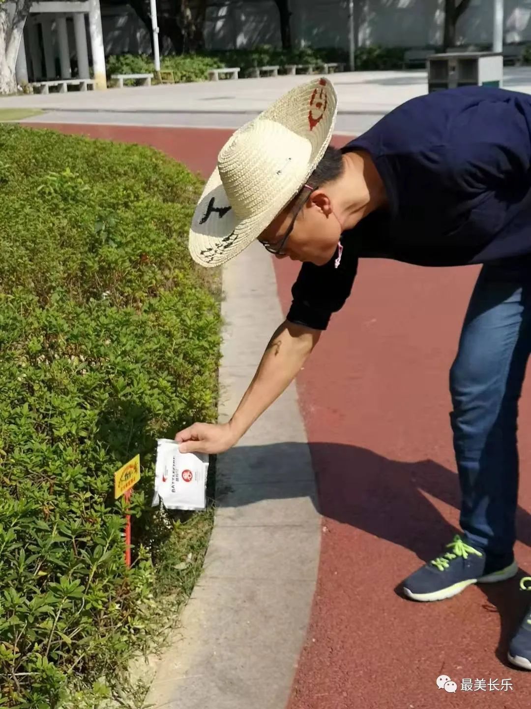 红火蚁最近发生的事,警惕红火蚁危害蔓延扩散