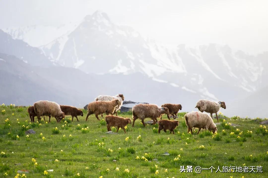 北疆自驾13天路线推荐,国内3条最美出境自驾线