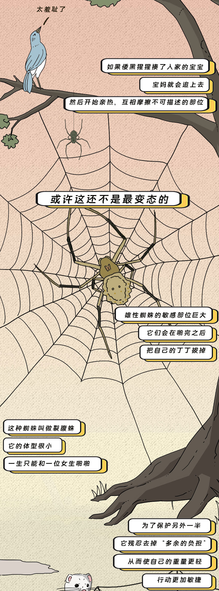 论啪啪啪，人类可比不上它们……