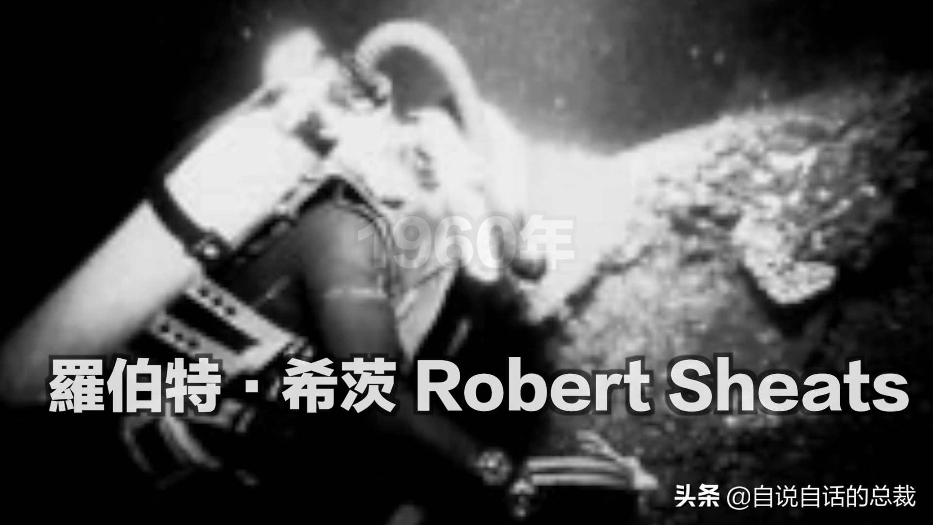 蛤、蚶、蛏、蚝、蚬有什么区别？这是一群美味海怪与人类的故事