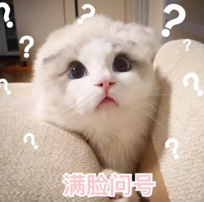 那个带臭豆腐的同学我能记一辈子……