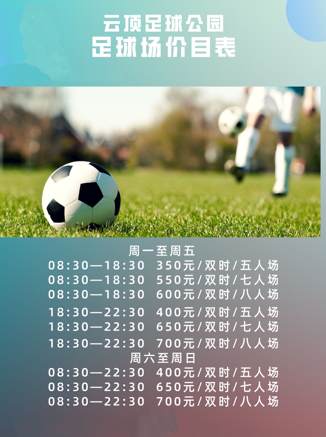 踢球费用,大连成人踢球费用