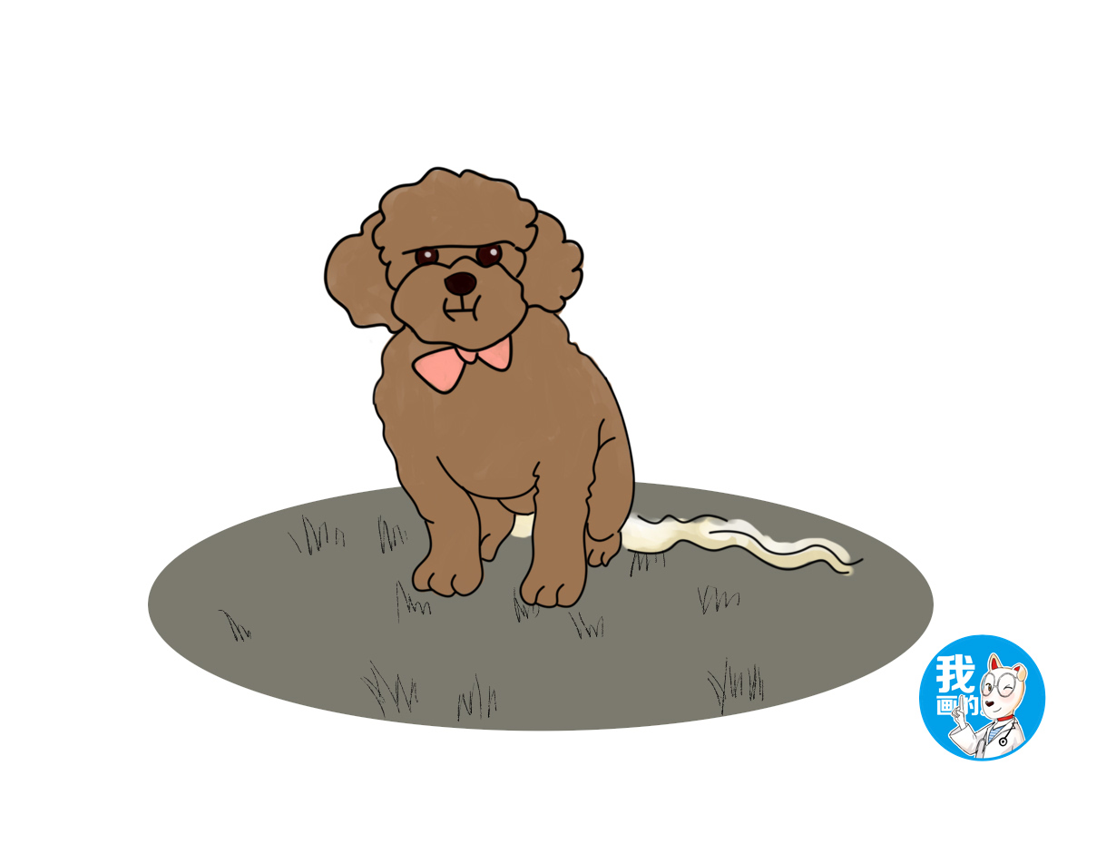 养母狗好还是养公的好,养母狗贴心还是公狗贴心