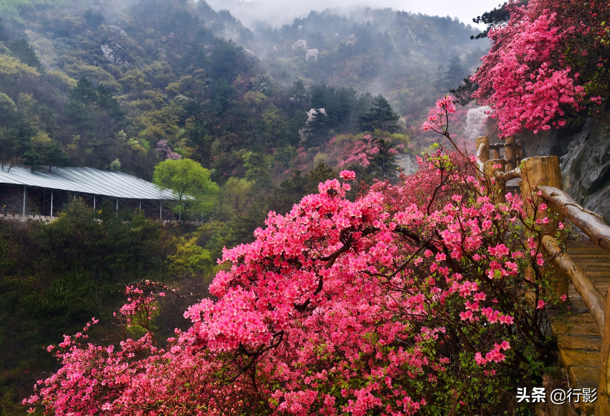 武汉青山网红打卡景点,云雾山武汉