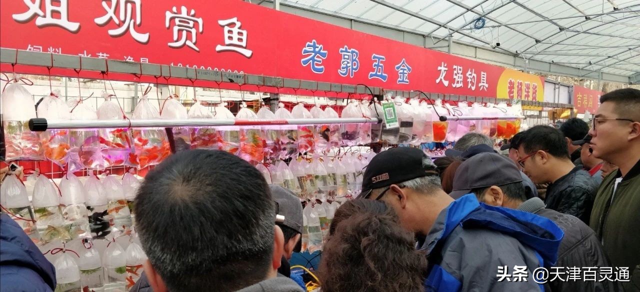 天津的早市儿有哪些,津沽最好的早市