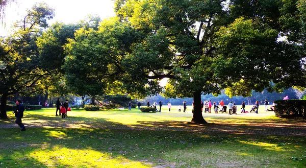 上海地铁附近景点推荐,上海地铁15号线沿线有哪些景点