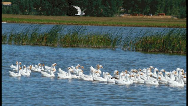 【聚焦】内蒙古一场注定不寻常的赛事即将幕启奈曼!!!