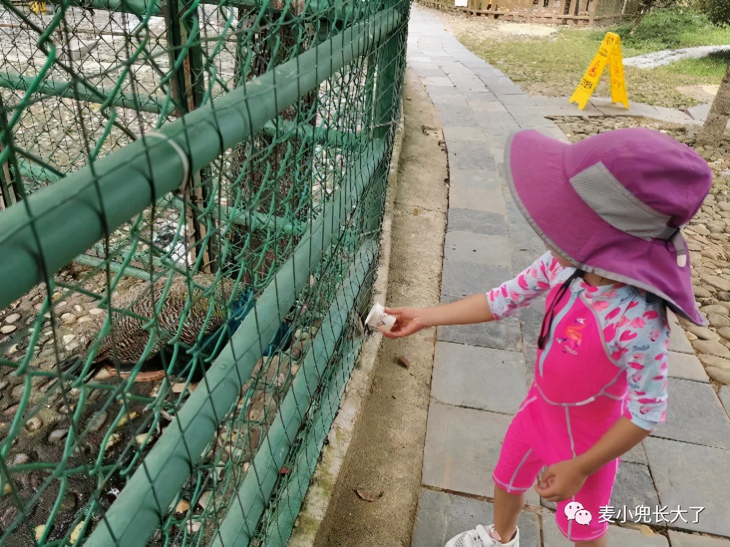 clubmed中国哪个地方好,国内clubmed滑雪