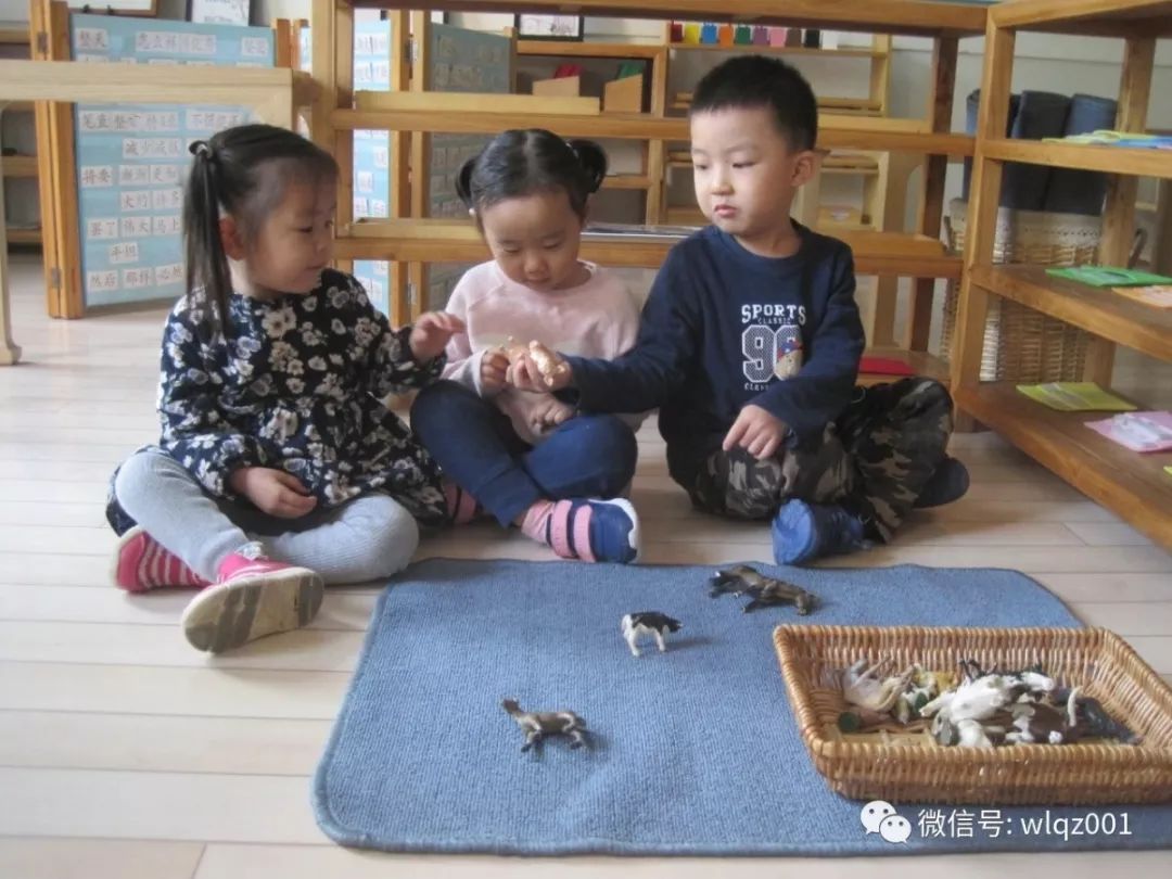 你知道吗？石家庄还藏着这样的幼儿园丨坤宁说房