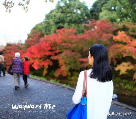 关西白滨自由行攻略,日本自由行攻略大阪温泉