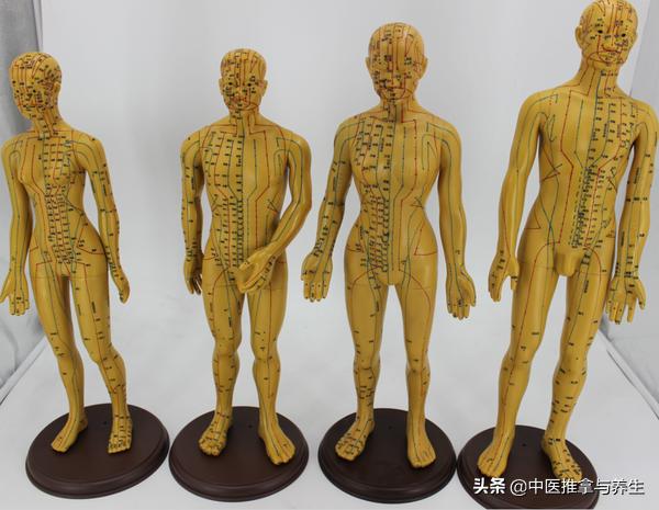 穴位简便易学取穴法,穴位及取穴法