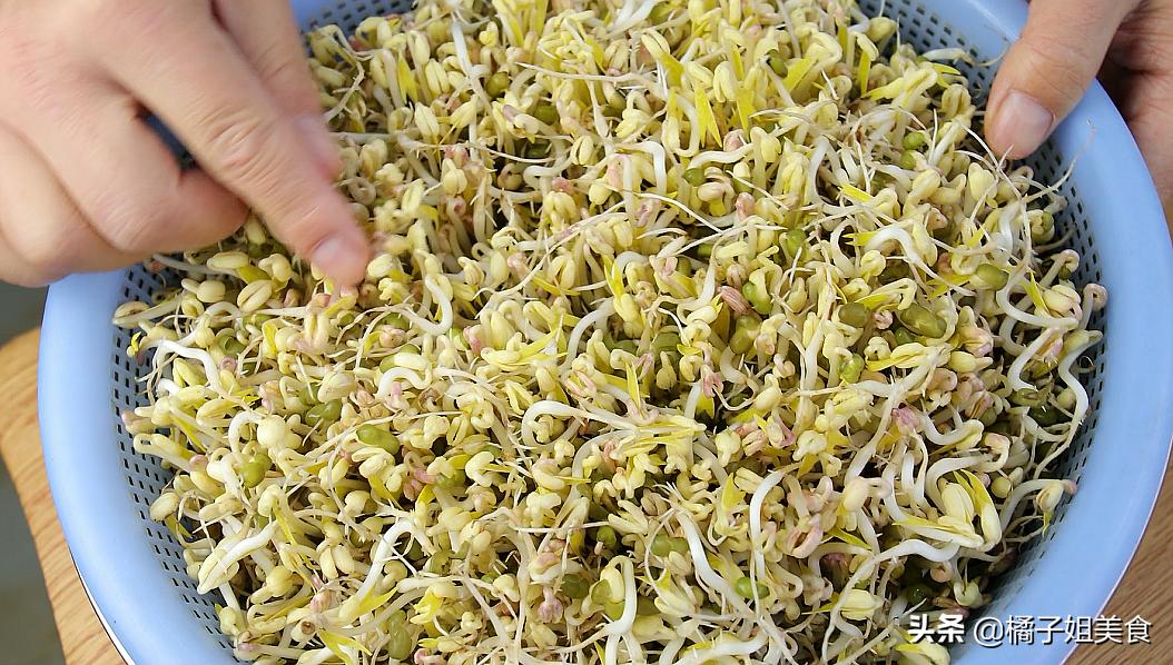 想吃豆芽在家发,教你在家生豆芽