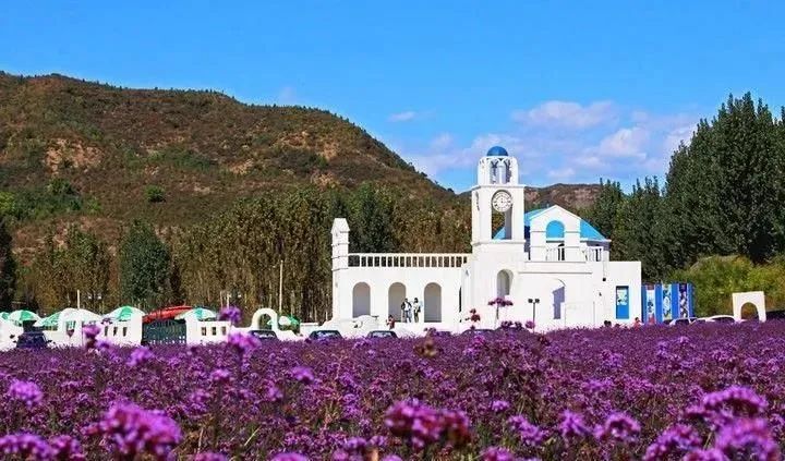 休闲农业特色案例,创意田园休闲农业