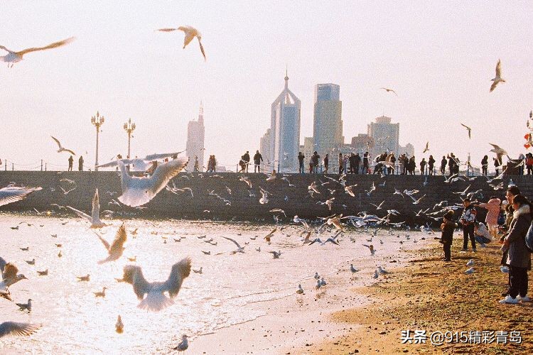 恋恋青岛，春深似海
