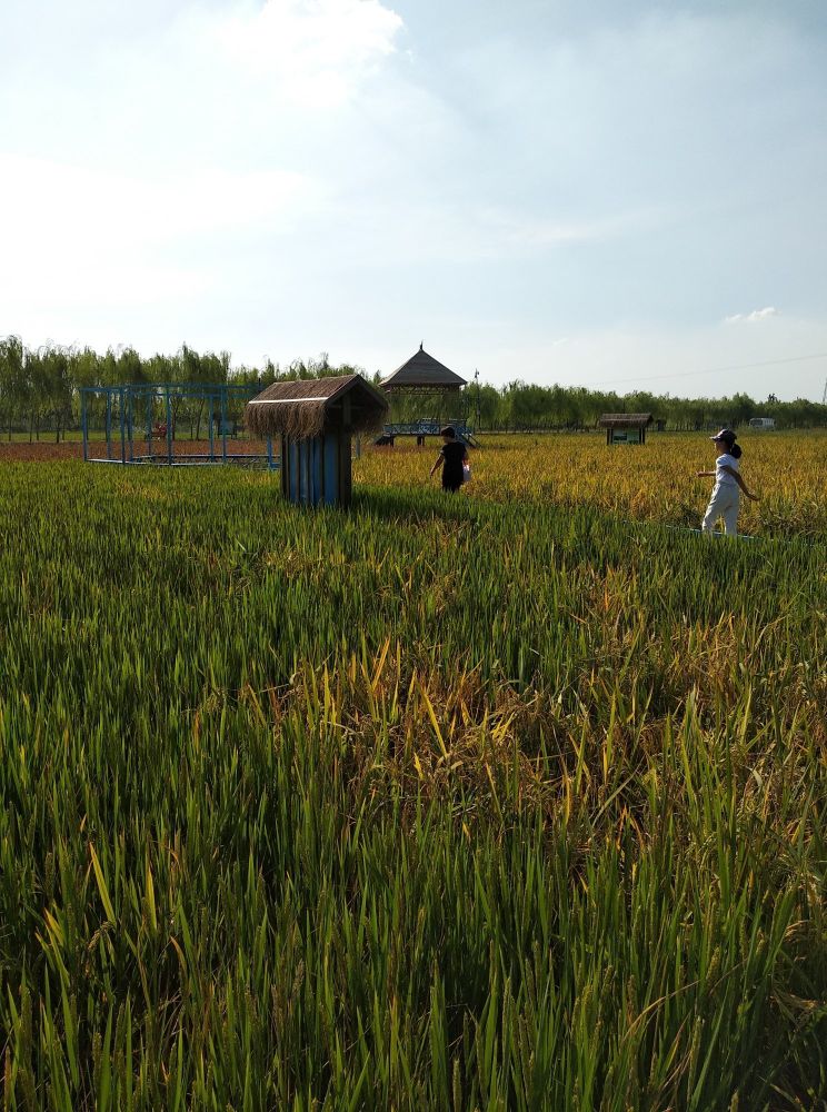 淄博高青慢城视频,山东高青慢城景区
