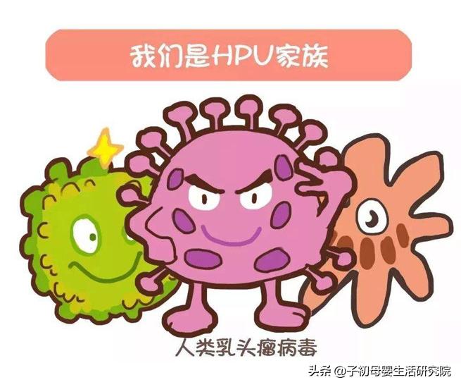 女性得了hpv怀孕了怎么办,女性hpv阳性会影响怀孕吗