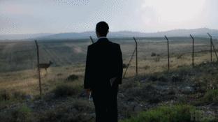 hbo十大必看神作,hbo再出黑马力作题材让人上头