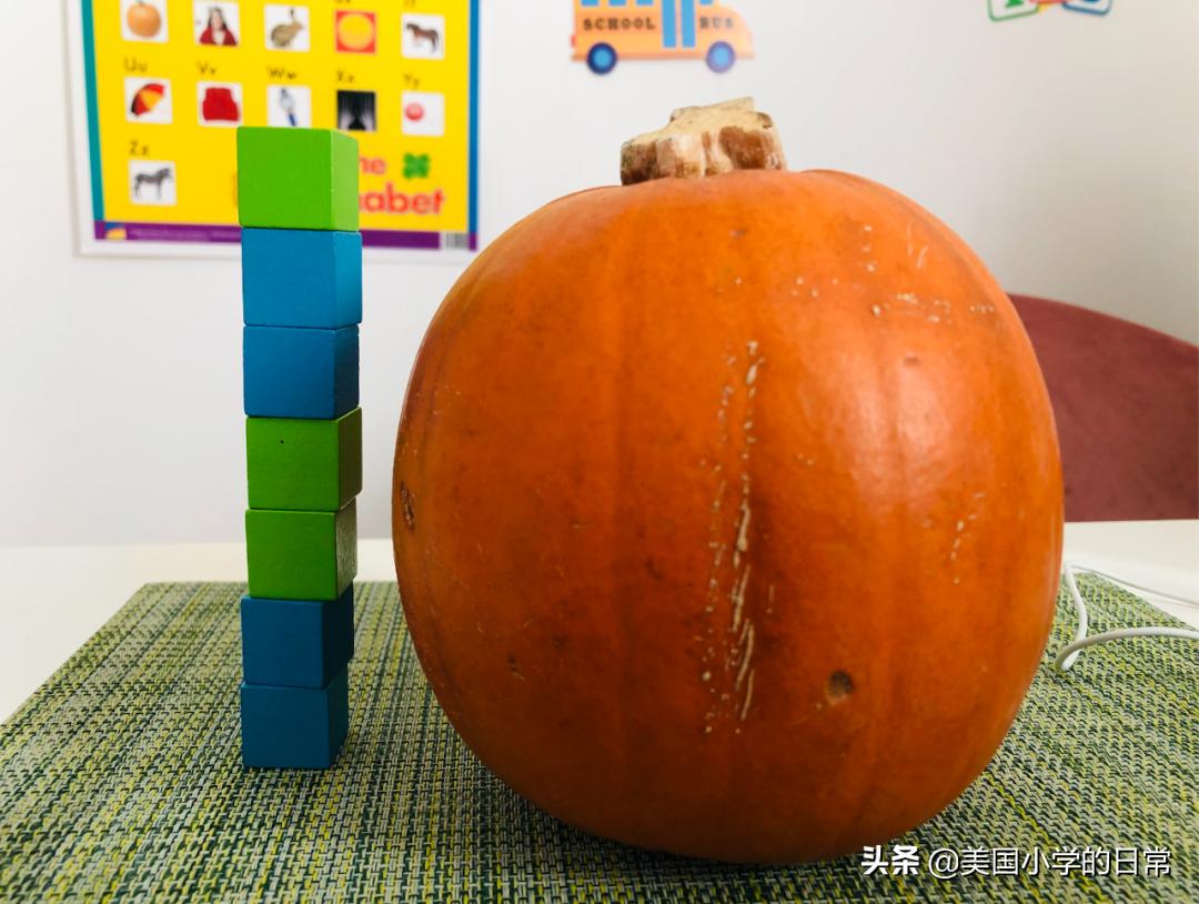 一个南瓜引发的学习激情，为何让美国孩子如此着迷？