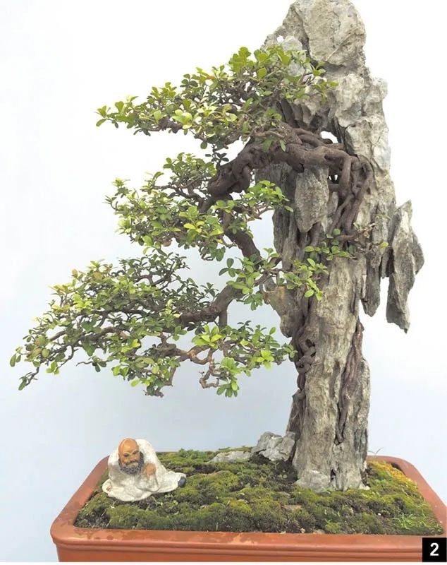 盆景修行,学习盆景技术最好的书